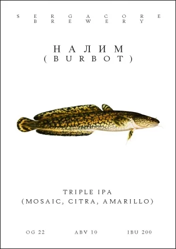 Налим
