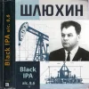 Auster Шлюхин