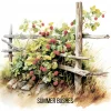 Summer Bushes