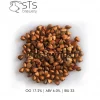 Buckwheat