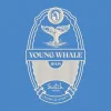 Young Whale