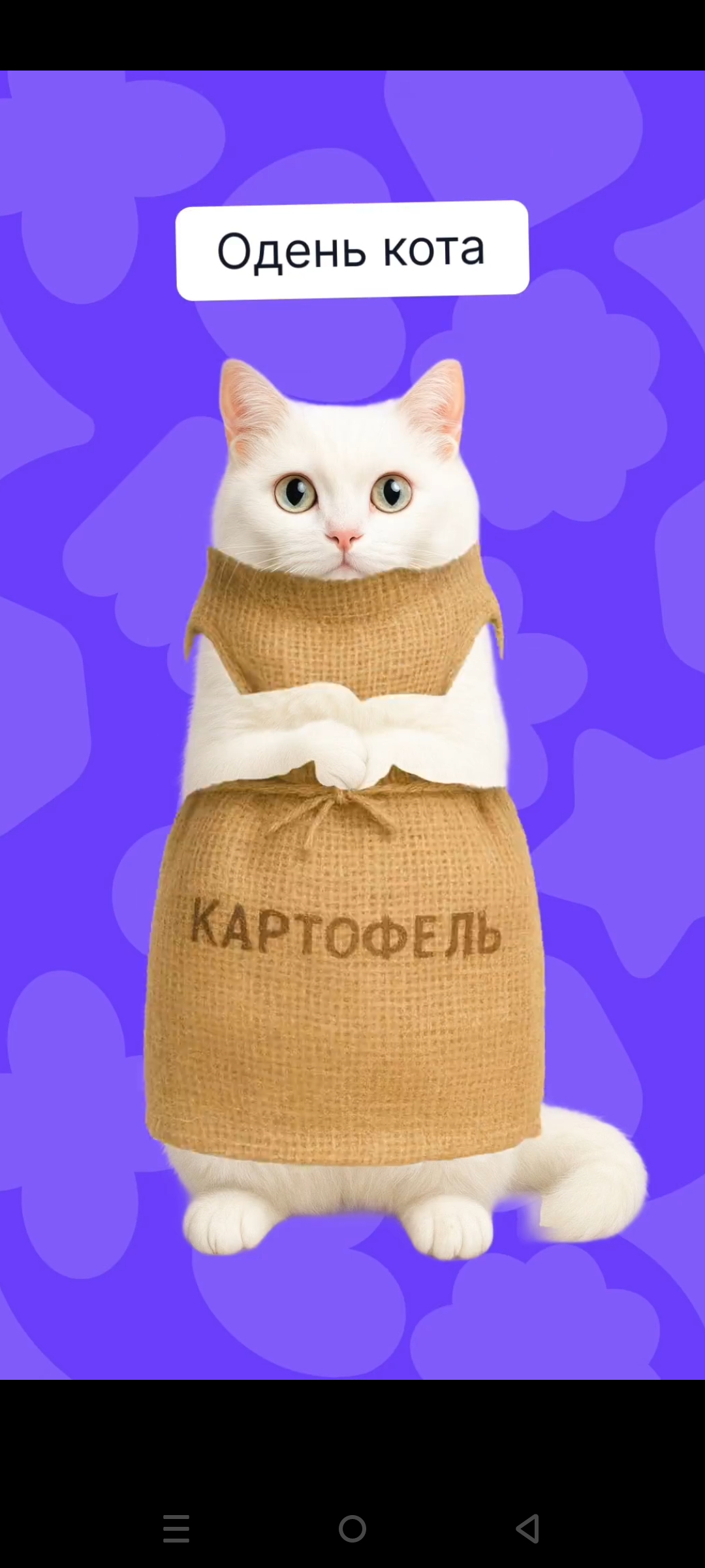 Фото Brentyus - автор отзыва о ВАЙЛТ™