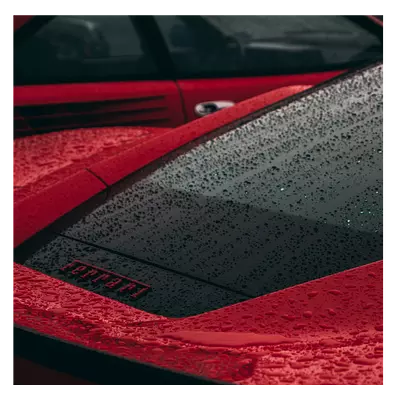 Фото на холсте красный феррари под дождем, размера 100x100