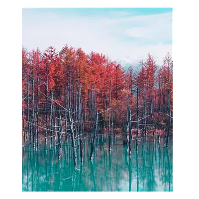 Фото на холсте деревья в воде, размера 50x60