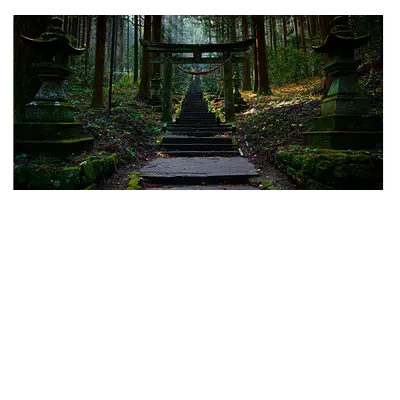 Фото на холсте лестница в лесу, размера 80x40