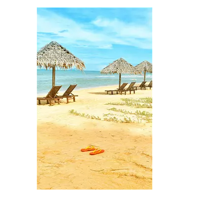 Фото на холсте песчаный пляж, размера 30x45