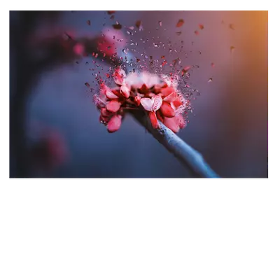 Фото на холсте абстрактный цветок, размера 75x50