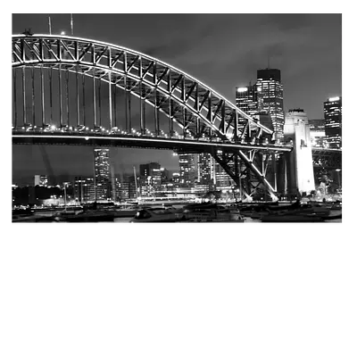Фото на холсте мост ч/б. размер 45 x 30 см.