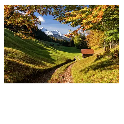 Фото на холсте дорога в зеленом лесу, размера 100x70