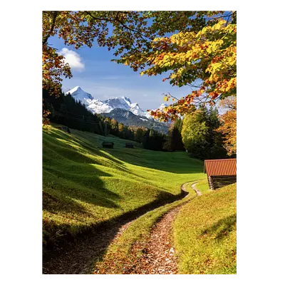 Фото на холсте дорога в зеленом лесу, размера 60x80