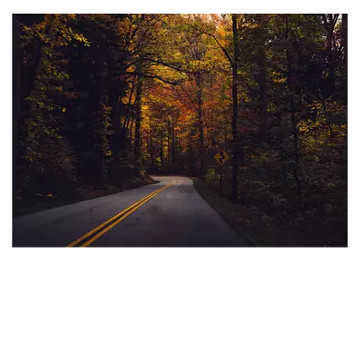 Фото на холсте дорога в лесу, размера 70x50