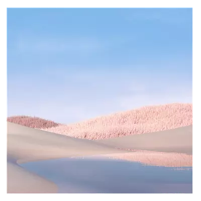 Фото на холсте белые поля, размера 60x60