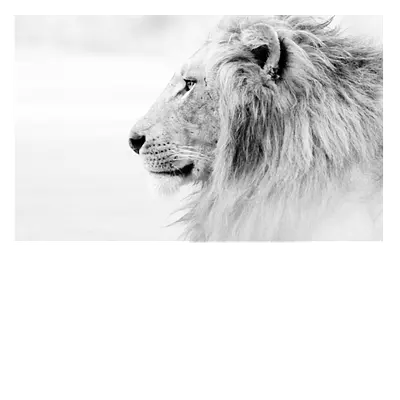Фото на холсте «лев в светлых тонах». 30х20 см.