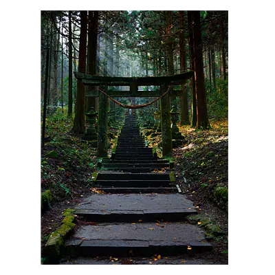 Фото на холсте лестница в лесу, размера 60x80