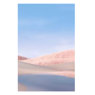 Фото на холсте белые поля, размера 60x90