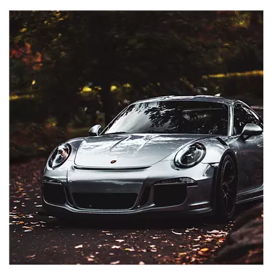 Фото на холсте porsche, размера 30x30