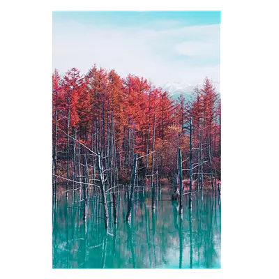 Фото на холсте деревья в воде, размера 80x120