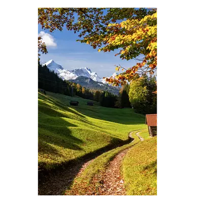 Фото на холсте дорога в зеленом лесу, размера 30x45