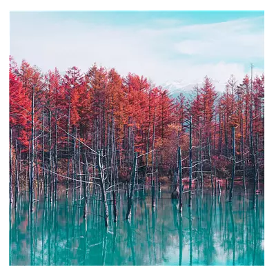 Фото на холсте деревья в воде, размера 100x100