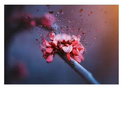 Фото на холсте абстрактный цветок, размера 70x50