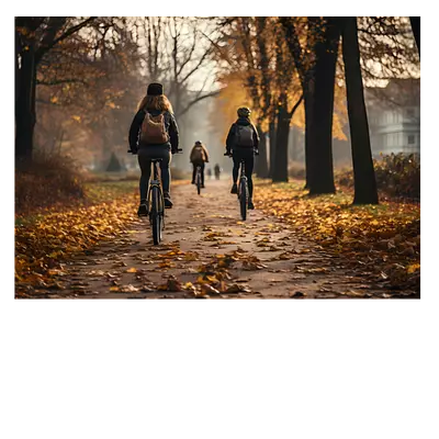 Фото на холсте велосипедисты в лесу, размера 70x50