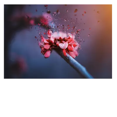 Фото на холсте абстрактный цветок, размера 100x70