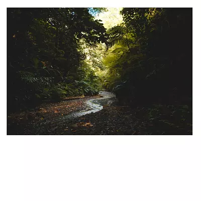 Фото на холсте тропический ручей, размера 100x70