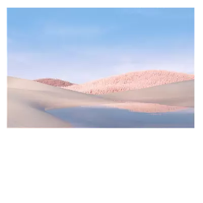 Фото на холсте белые поля, размера 60x40