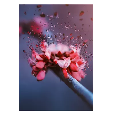 Фото на холсте абстрактный цветок, размера 50x70