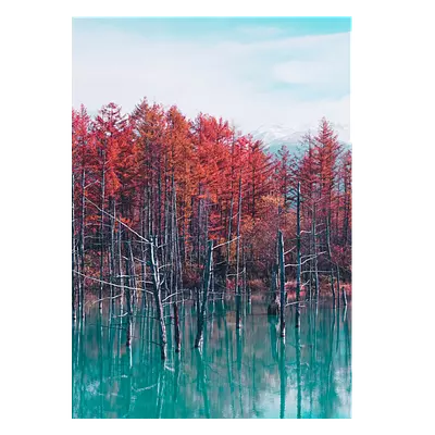 Фото на холсте деревья в воде, размера 50x70