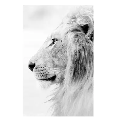 Фото на холсте лев в светлых тонах, размера 30x45