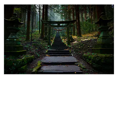 Фото на холсте. лестница в лесу. 45 x 30. до 220