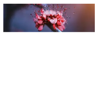 Фотография на холсте — идеальное решение для тех, кто хочет создать уникальный декор для своего дома или офиса.