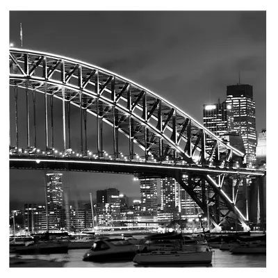 Фото на холсте мост ч/б, размера 100x100
