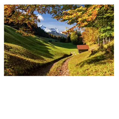 Фото на холсте дорога в зеленом лесу, размера 90x60