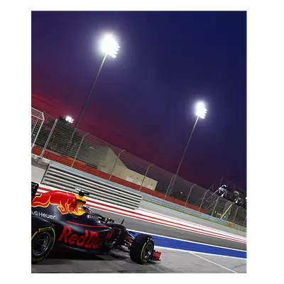 Фото на холсте red bull f1, размера 50x60
