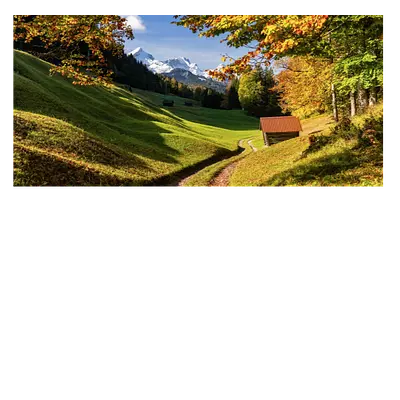 Фото на холсте дорога в зеленом лесу, размера 60x30