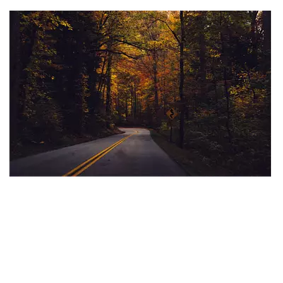 Фото на холсте дорога в лесу 45 x 30 см