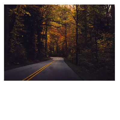 Фото на холсте дорога в лесу, размера 100x70