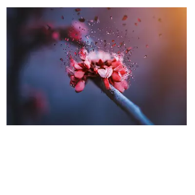 Фото на холсте абстрактный цветок, размера 120x80