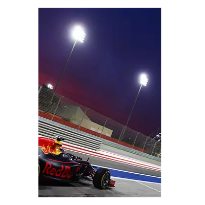 Фото на холсте red bull f1, размера 50x75