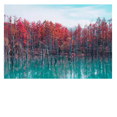 Фото на холсте деревья в воде, размера 100x70