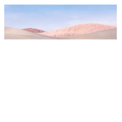 Фото на холсте белые поля, размера 120x40