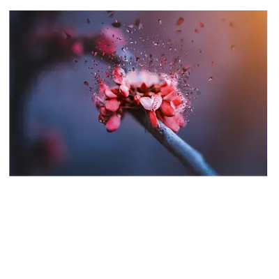 Фото на холсте абстрактный цветок, размера 60x40