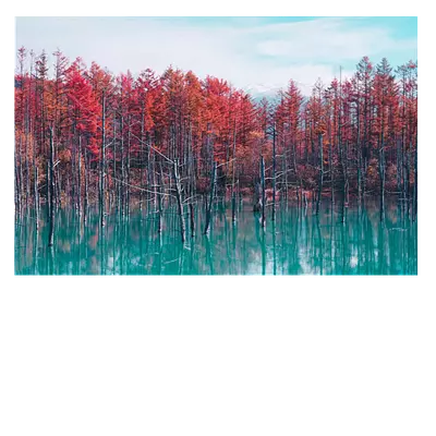 Фото на холсте деревья в воде, размера 60x40