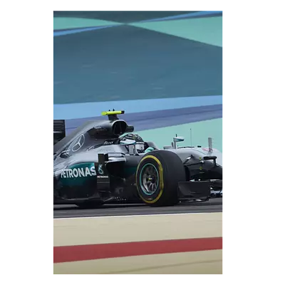 Фото на холсте f1 mercedes, размера 40x60