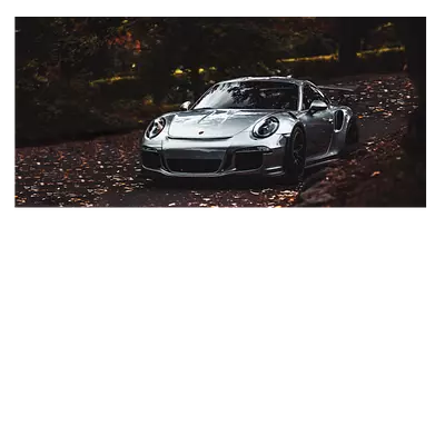 Фото на холсте porsche, размера 60x30