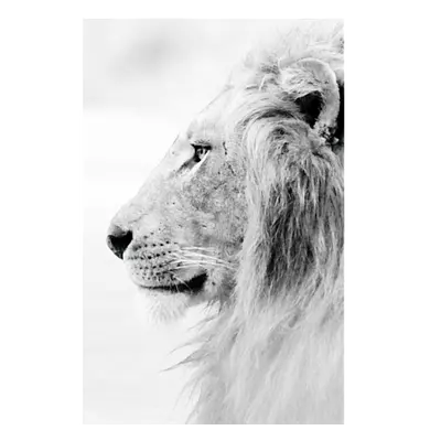Фото на холсте лев в светлых тонах, размера 40x60