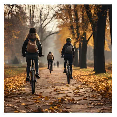 Фото на холсте велосипедисты в лесу, размера 30x30
