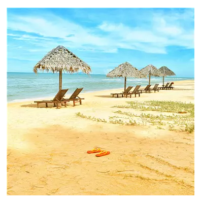 Фото на холсте песчаный пляж, размера 100x100